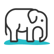 Wildlife Tours